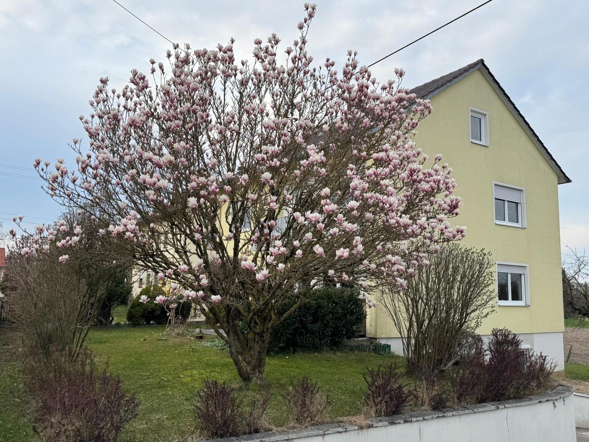 W&P Living Wohnung Mit Ausblick - Parkplatz Biberbach  Exterior foto